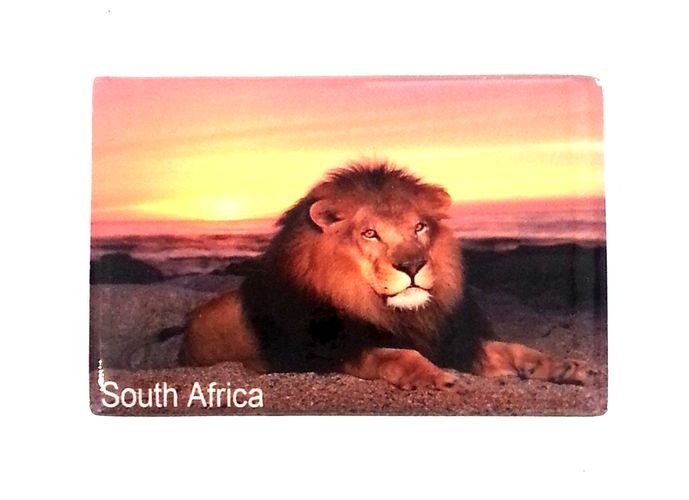 Ceramic Magnet - Lion Sunset - Click Image to Close